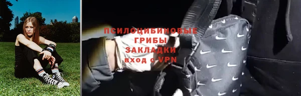 дживик Щучье