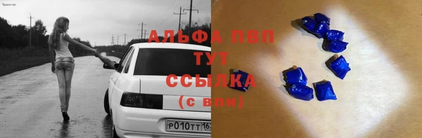 прущие грибы Щигры