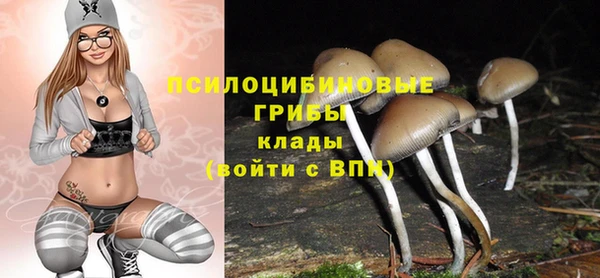 соль ск Щёлкино
